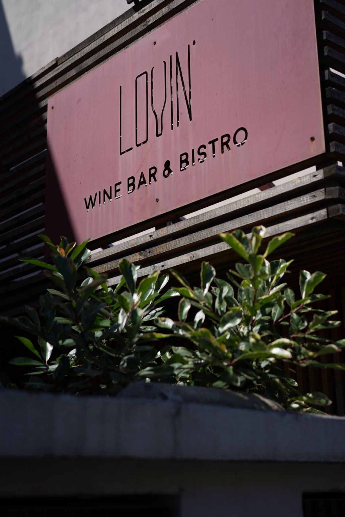 lovin-winebar-bistro